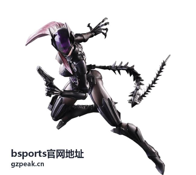bsports官网地址活动预告封面